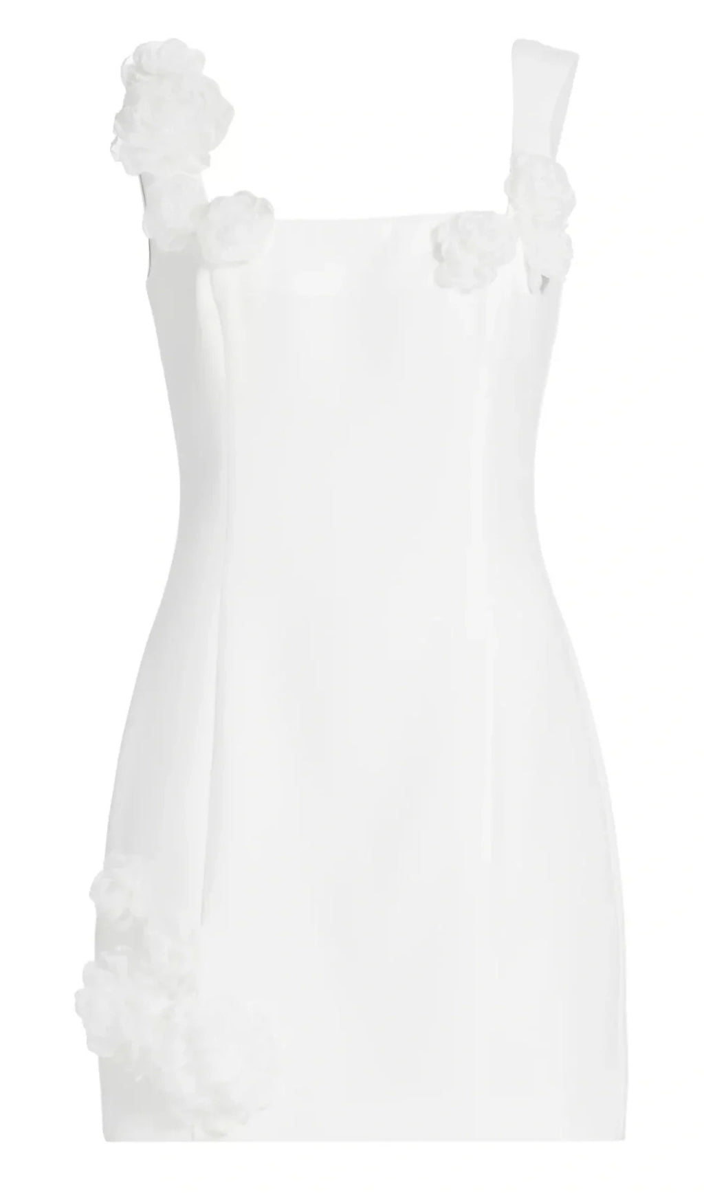 DILANNE FLORAL APPLIQUE MINI DRESS IN WHITE