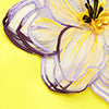 INDIE APPLIQUÉ SLEEVE IRIS PRINT SET IN YELLOW