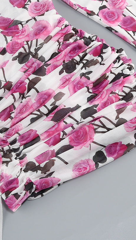 BRISA ROSE RUCHED LONG SLEEVE MINI DRESS