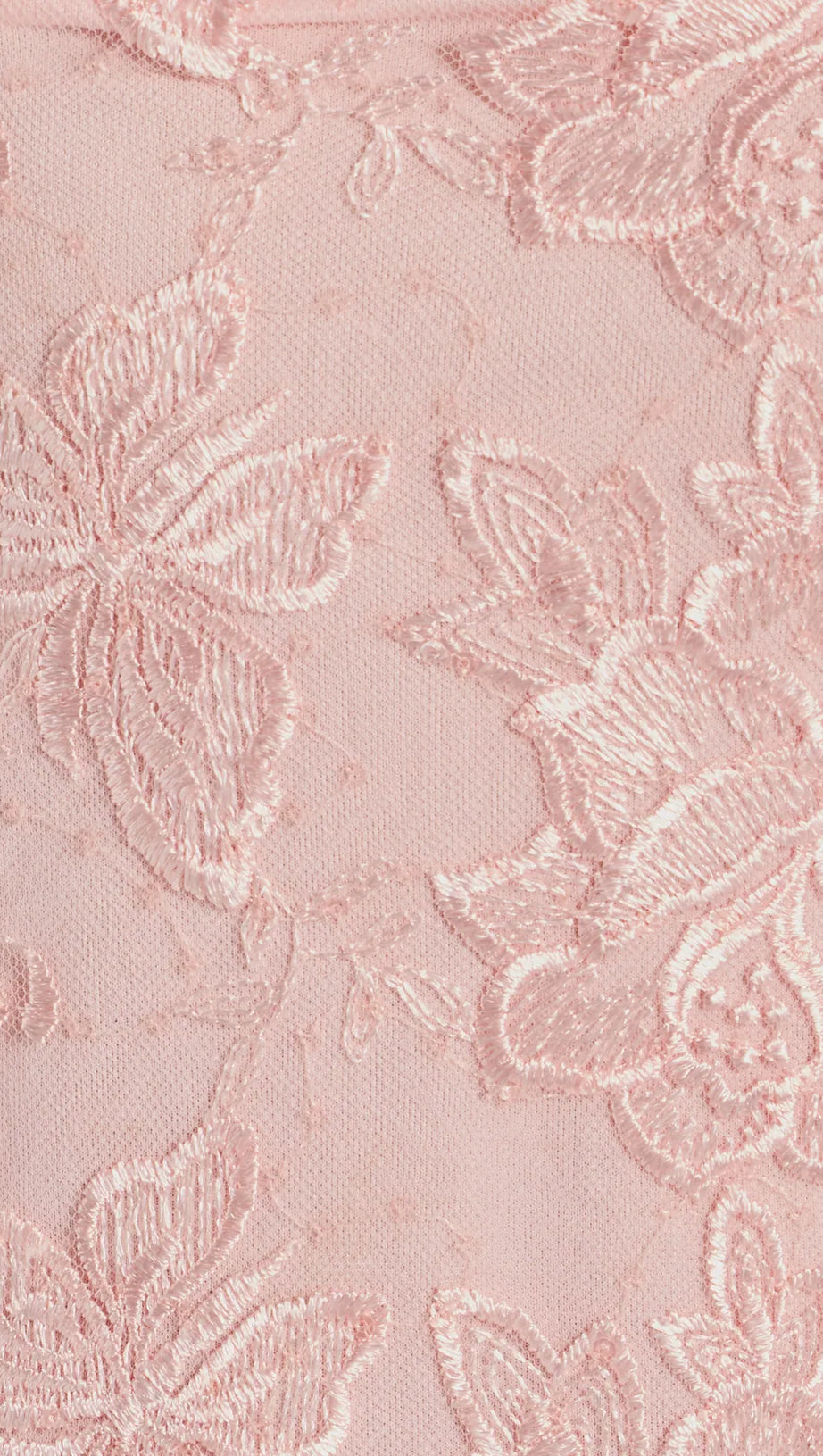 BUTTERFLY LACE A-LINE MINI DRESS