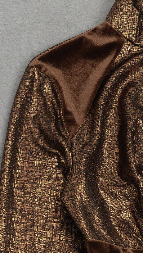 LONG SLEEVE CORSET SPARKLY MAXI DRESS IN BROWN