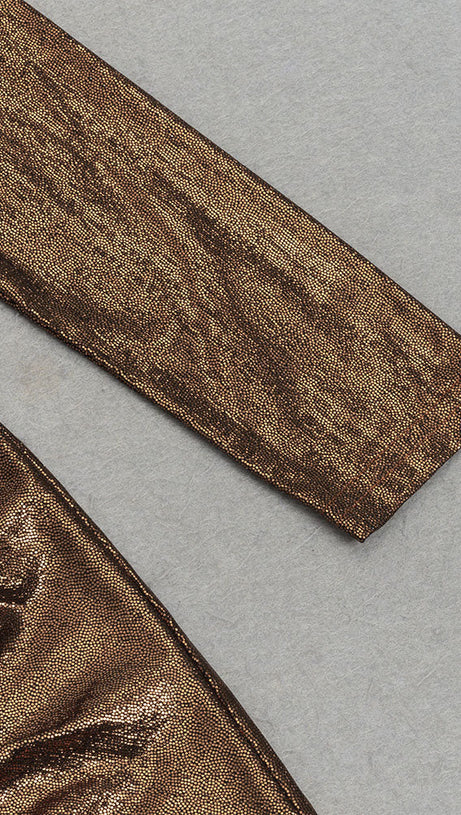 LONG SLEEVE CORSET SPARKLY MAXI DRESS IN BROWN