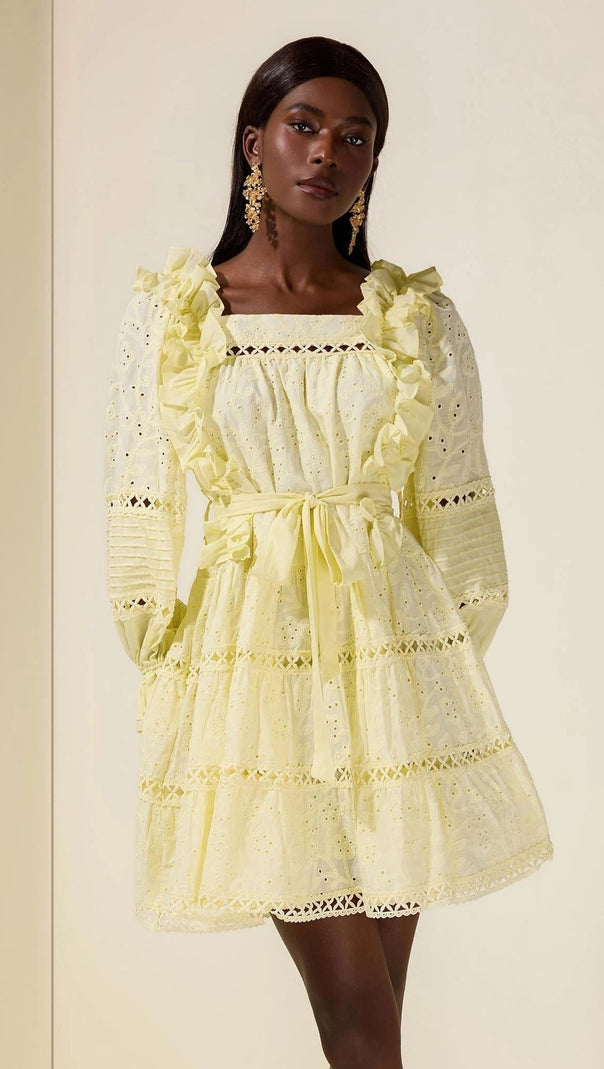 victoria Embroidered hollow Ruffle Mini Dress - yellow
