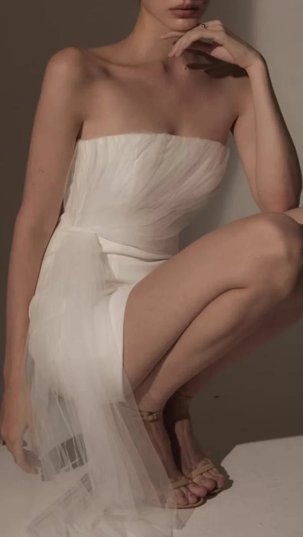 AIIZIE STRAPLESS MESH MINI DRESS - product image