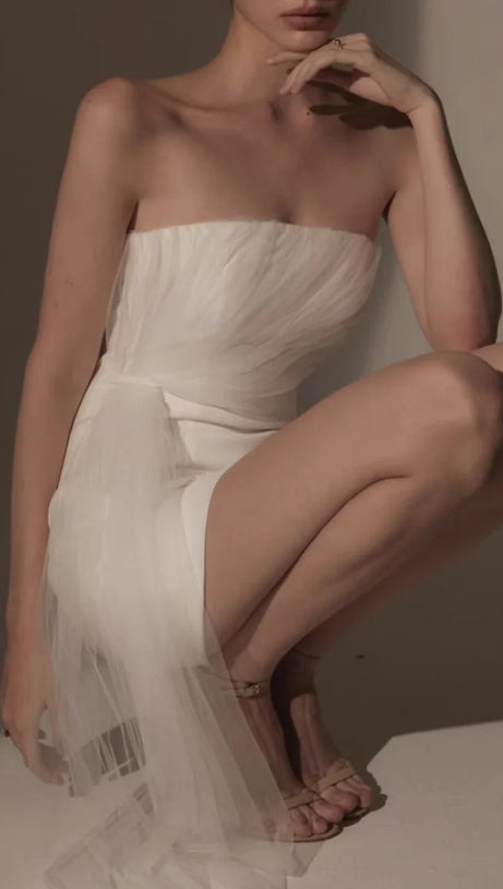 STRAPLESS MESH MINI DRESS