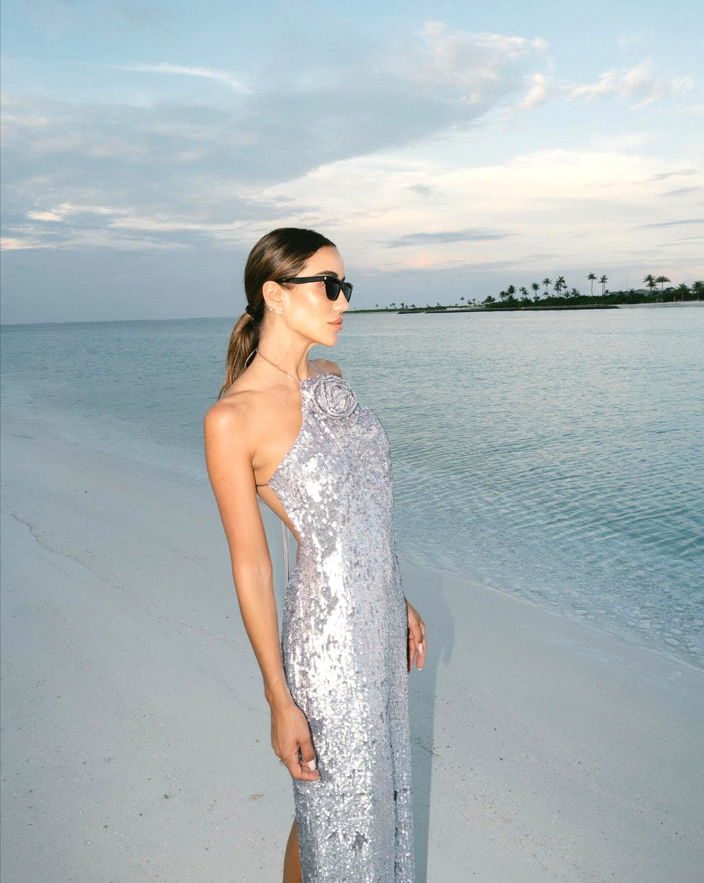 WINIFRED FLORAL-APPLIQUÉ SEQUIN MAXI DRESS SILVER