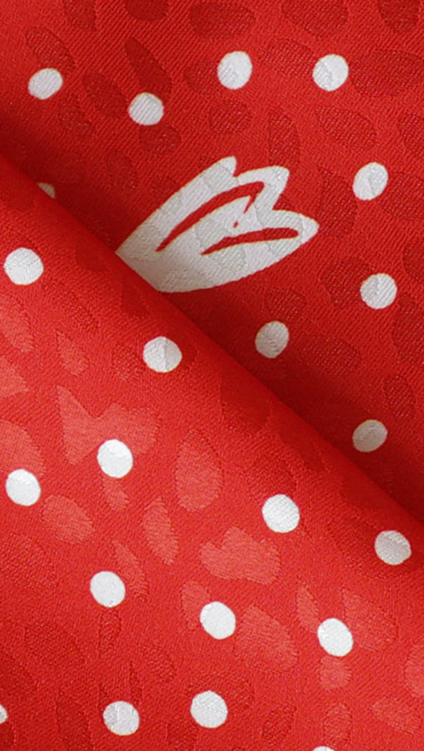AIIZIE RED FLORAL AND POLKA DOT MAXI DRESS WITH LONG SLEEVES - product image