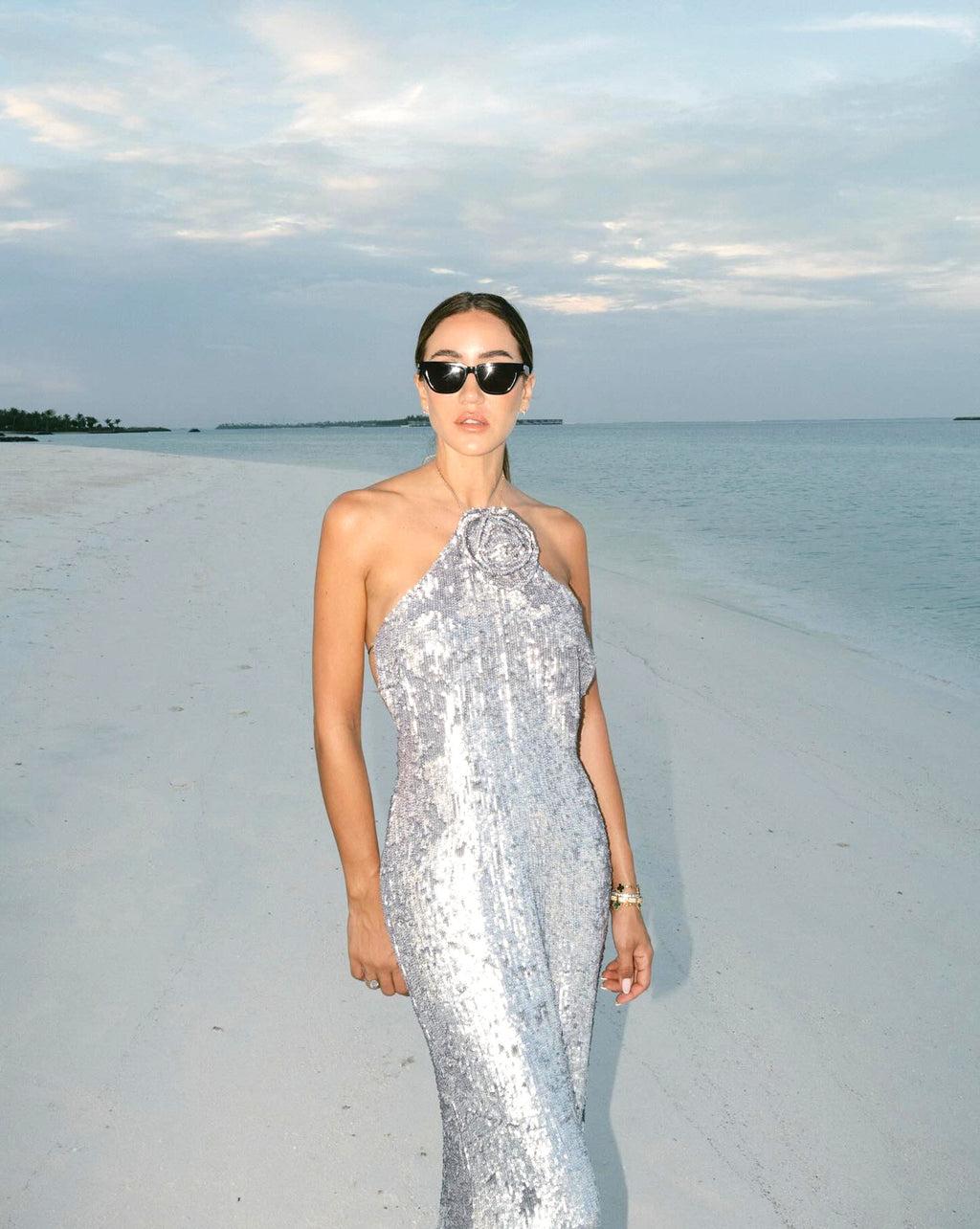 WINIFRED FLORAL-APPLIQUÉ SEQUIN MAXI DRESS SILVER