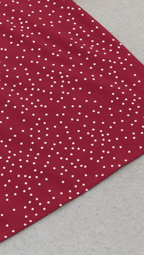 PRINCESS POLLY POLKA DOTS MINI DRESS