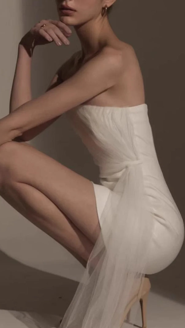 AIIZIE STRAPLESS MESH MINI DRESS - product image