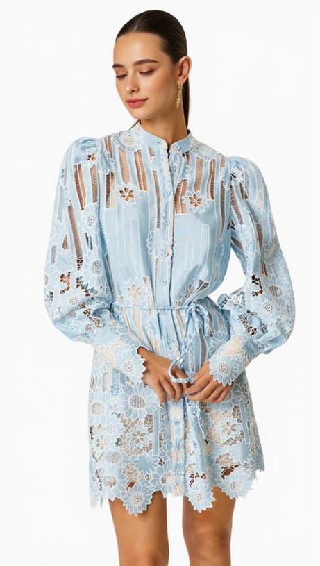 JETSETTER HOLLOW LONG SLEEVE MINI DRESS IN BLUE