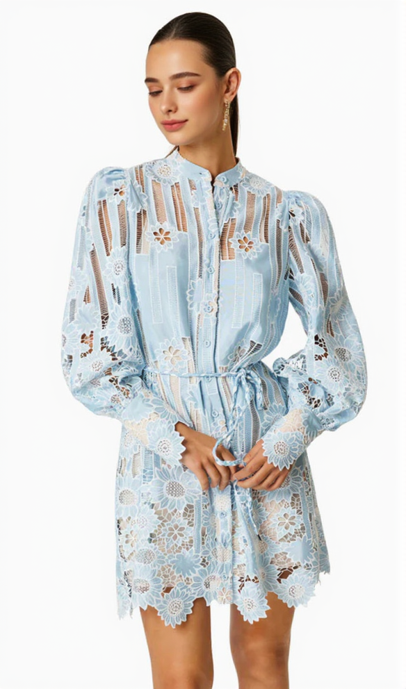 JETSETTER HOLLOW LONG SLEEVE MINI DRESS IN BLUE