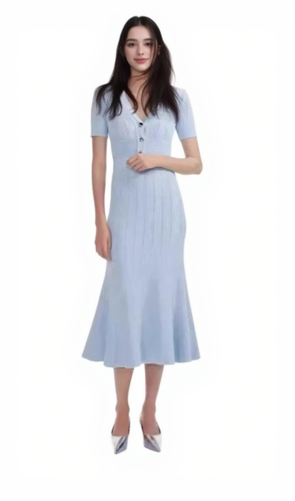 AIIZIE DOLORES POINTELLE MIDI DRESS - product image