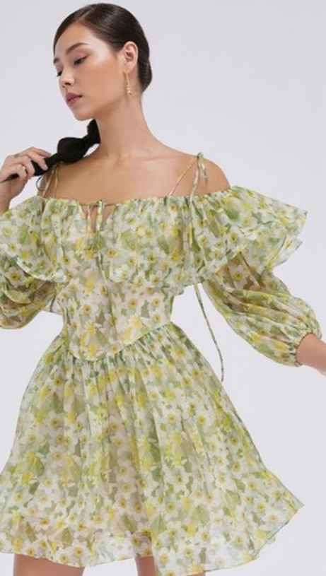 ANNA PRINTED RUFFLE TRIM MINI DRESS IN GREEN