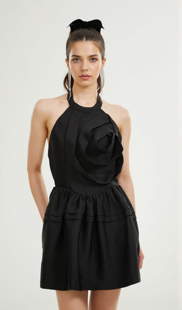 AIIZIE FLORAL APPLIQUÉ HALTER NECK MINI DRESS IN BLACK - product image