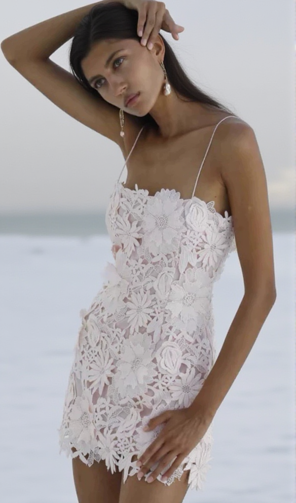 AIIZIE FREDA FLORAL LACE MINI DRESS IN PINK - product image