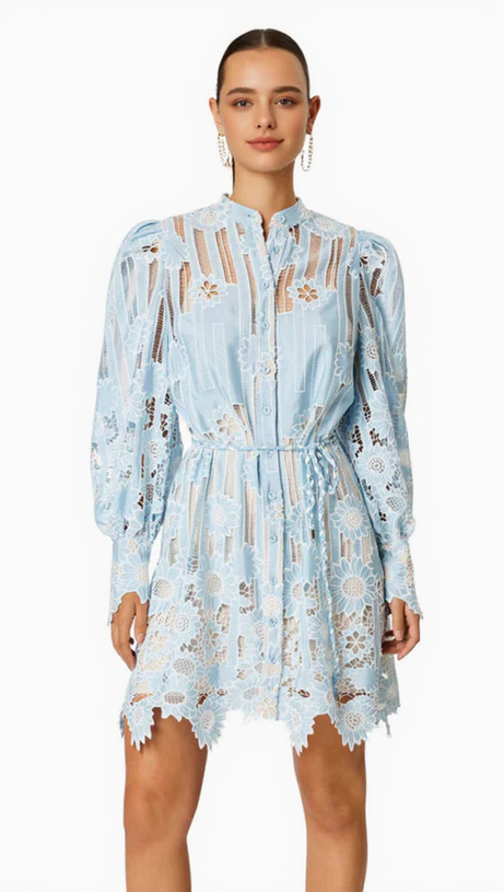 JETSETTER HOLLOW LONG SLEEVE MINI DRESS IN BLUE