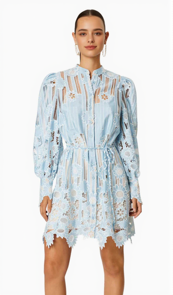 AIIZIE JETSETTER HOLLOW LONG SLEEVE MINI DRESS IN BLUE - product image
