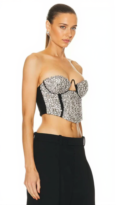 CRYSTAL EMBROIDERED BUSTIER TOP