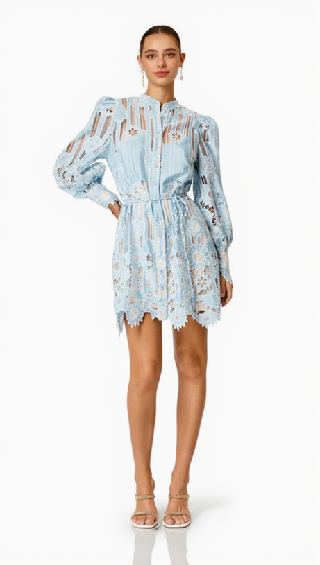 JETSETTER HOLLOW LONG SLEEVE MINI DRESS IN BLUE