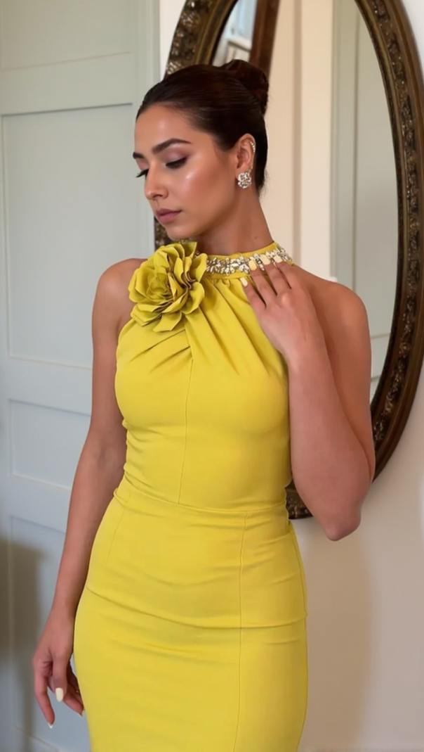 AIIZIE MAMIE HALTER FLORAL CRYSTAL MAXI DRESS IN YELLOW - product image