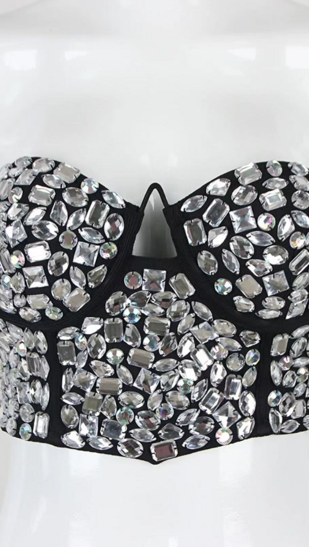 AIIZIE CRYSTAL EMBROIDERED BUSTIER TOP - product image