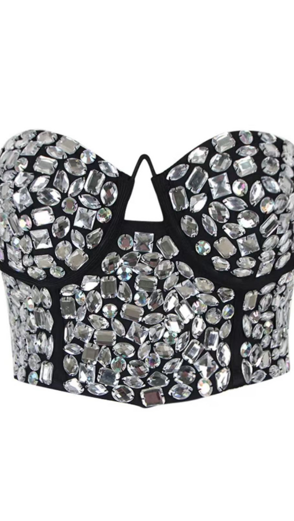 AIIZIE CRYSTAL EMBROIDERED BUSTIER TOP - product image