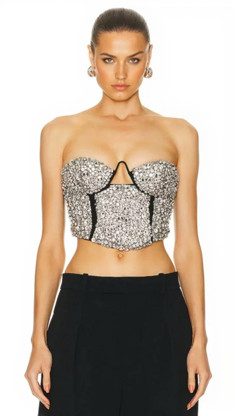 CRYSTAL EMBROIDERED BUSTIER TOP