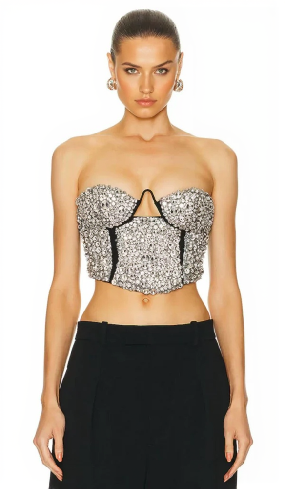 CRYSTAL EMBROIDERED BUSTIER TOP