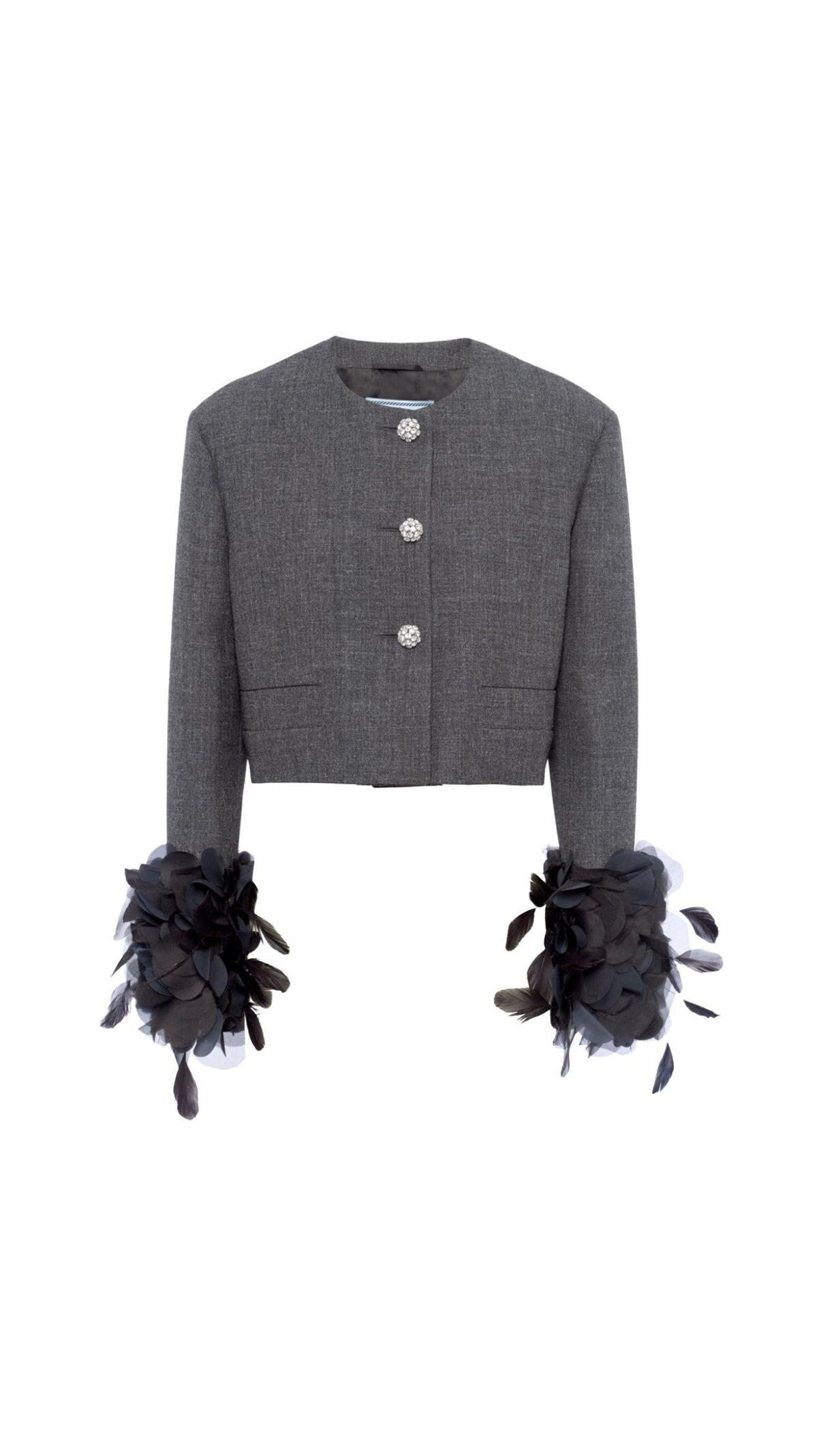 AIIZIE FEATHER-TRIM SINGLE-BREASTED WOOL JACKET - product image