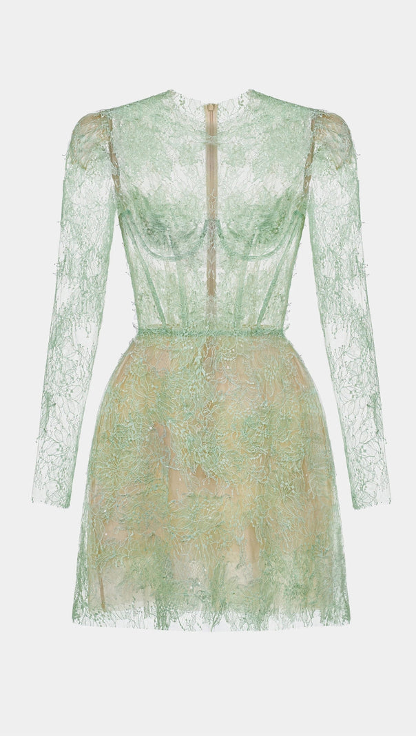 AIIZIE FLORAL AND RAMAGE EMBROIDERY MIDI DRESS - product image