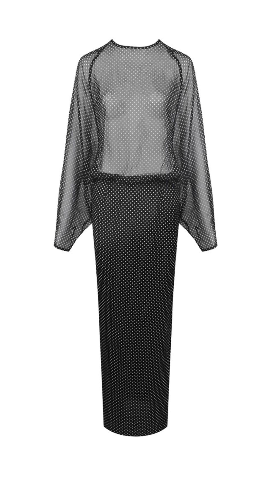 CHIC SHEER POLKA DOT LONG SLEEVE MAXI DRESS - BLACK