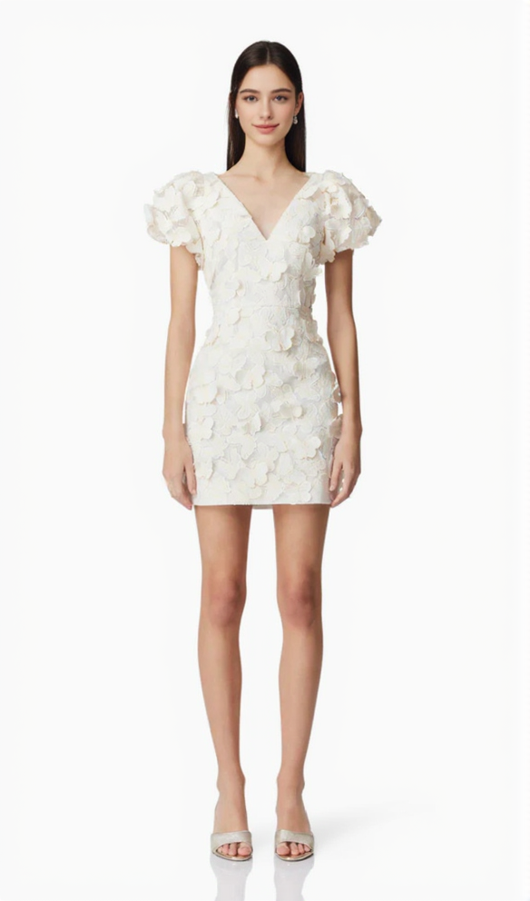 Butterfly Appliqué Mini dress in cream