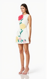 Buttercup Embroidered Mini Dress in Ivory