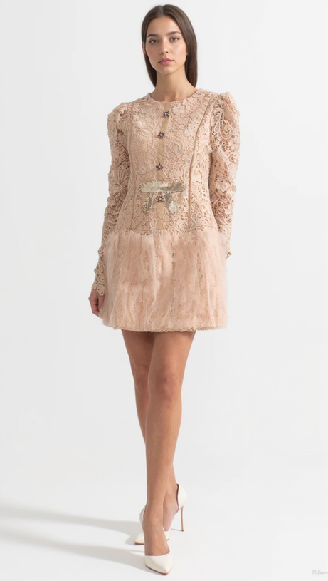 LACE EMBROIDERY MINI DRESS