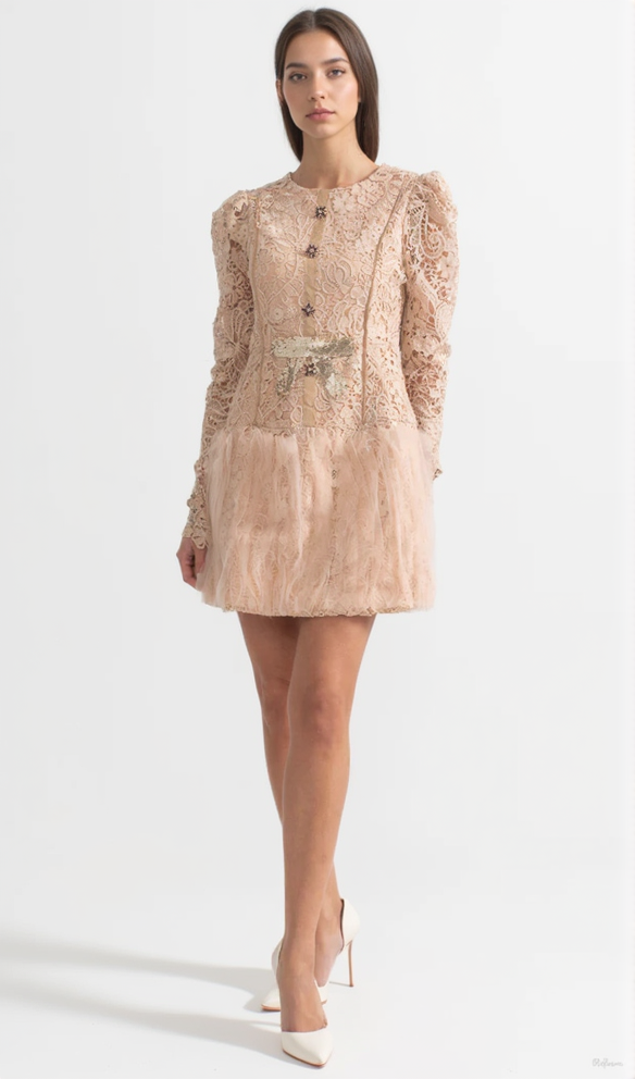 AIIZIE LACE EMBROIDERY MINI DRESS - product image