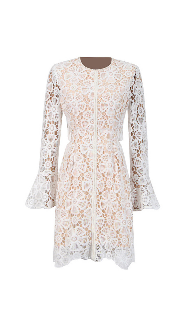 AIIZIE EMBROIDERED HOLLOW MINI DRESS IN WHITE - product image