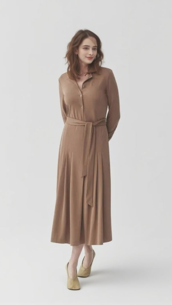 AIIZIE DRAWSTRING WAIST MIDI DRESS IN BROWN - product image