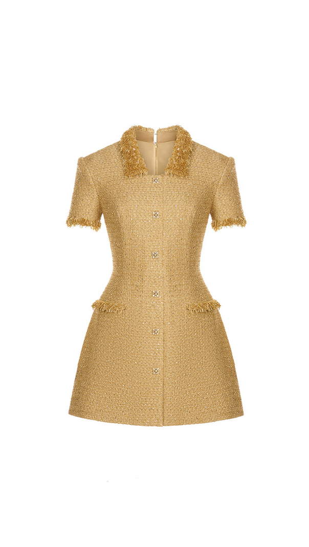 AIIZIE GOLD EMBELLISHED MINI DRESS - product image