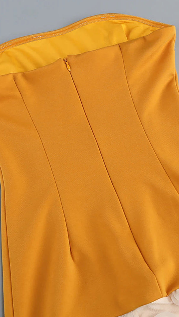AIIZIE NODIN STRAPLESS DOT MESH MAXI DRESS IN ORANGE - product image