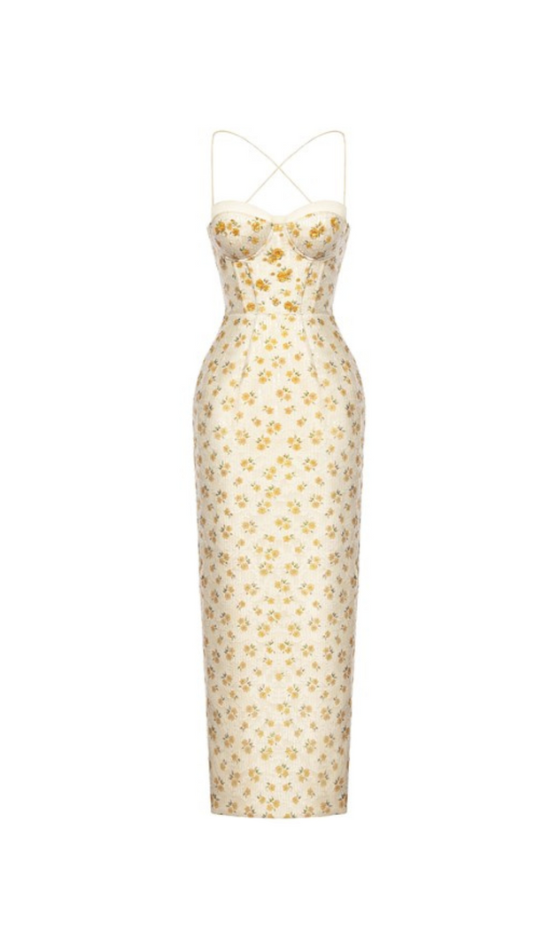 AIIZIE PRINT EMBROIDERY MAXI DRESS IN BEIGE - product image
