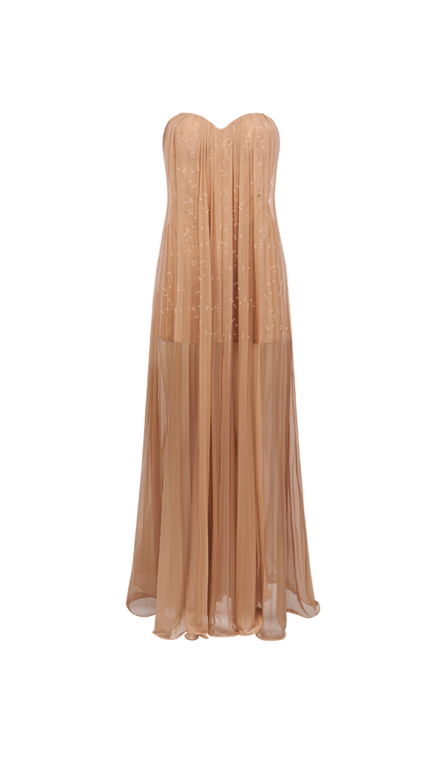 AIIZIE THEA STRAPLESS MESH BACKLESS MAXI DRESS IN BROWN - product image
