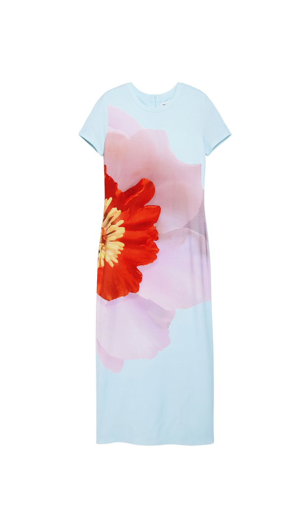 AIIZIE NANCY FLORAL PRINT MIDI DRESS IN BLUE - product image