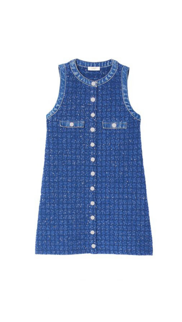 AIIZIE PALMARE TWEED MINI DRESS IN BLUE - product image
