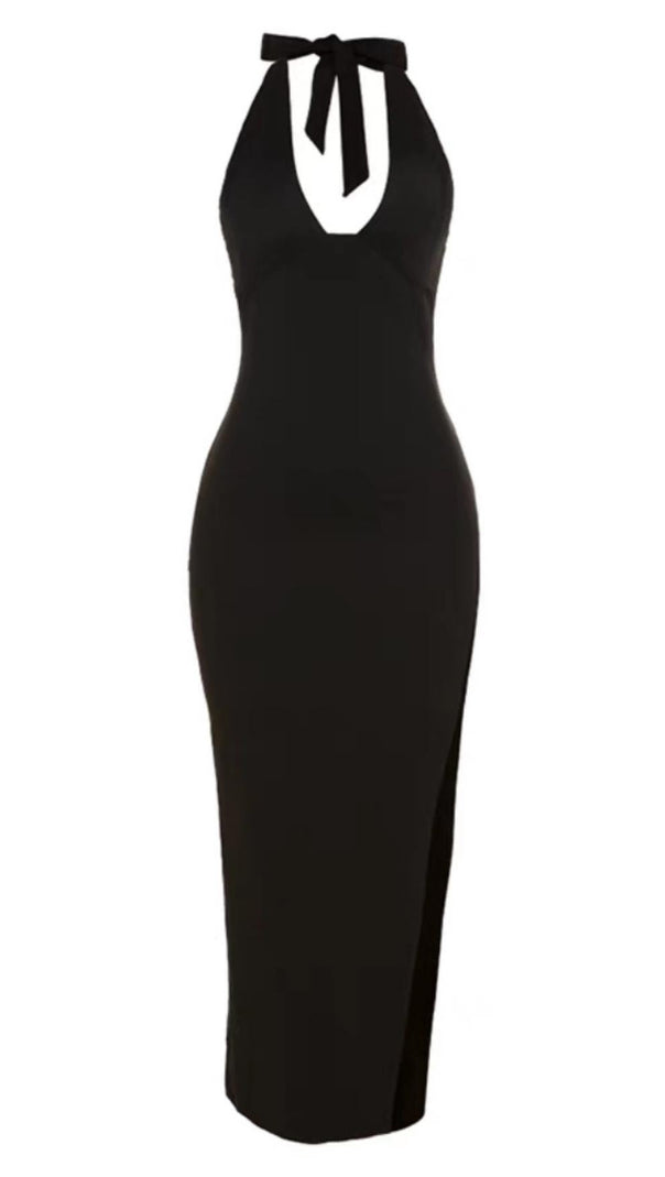 AIIZIE HALTER BODYCON MAXI DRESS - product image