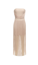 PENELOPE TULLE STRIPED EMBELLISH STRAPLESS APRICOT  MIDI DRESS