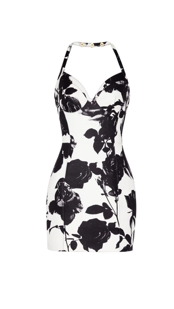 AIIZIE TABITHA TWO-TONE FLORAL-PRINT LEATHER MINI DRESS - product image