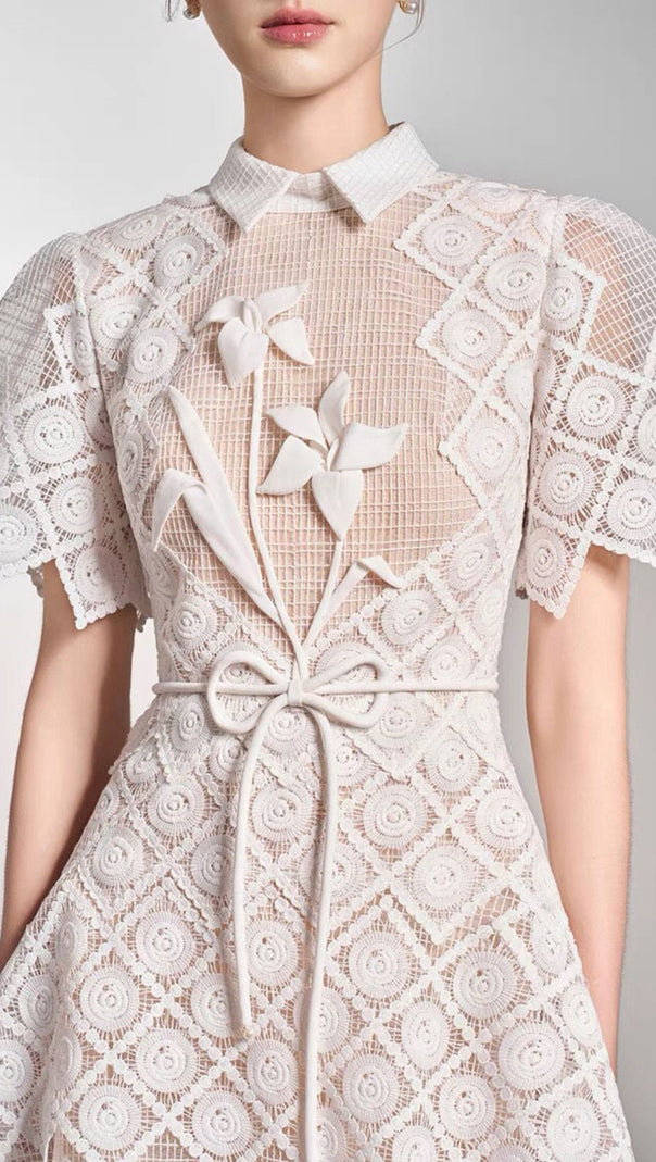 AIIZIE EMBROIDERY MIDI DRESS IN WHITE - product image