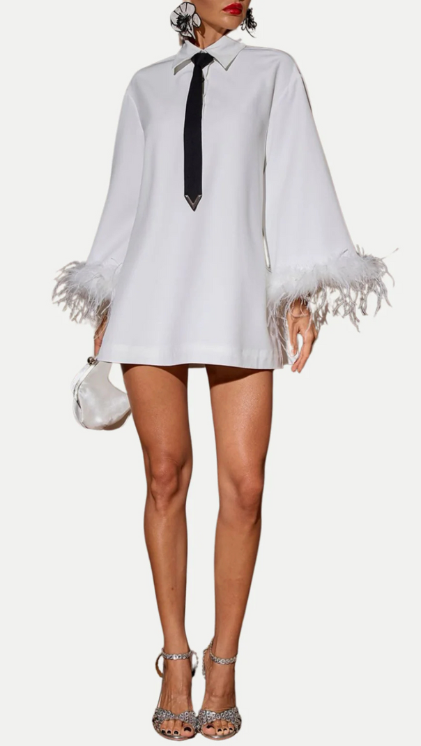 AIIZIE FINIA FEATHER-TRIMMED MINI SHIRT DRESS WITH TIE - product image