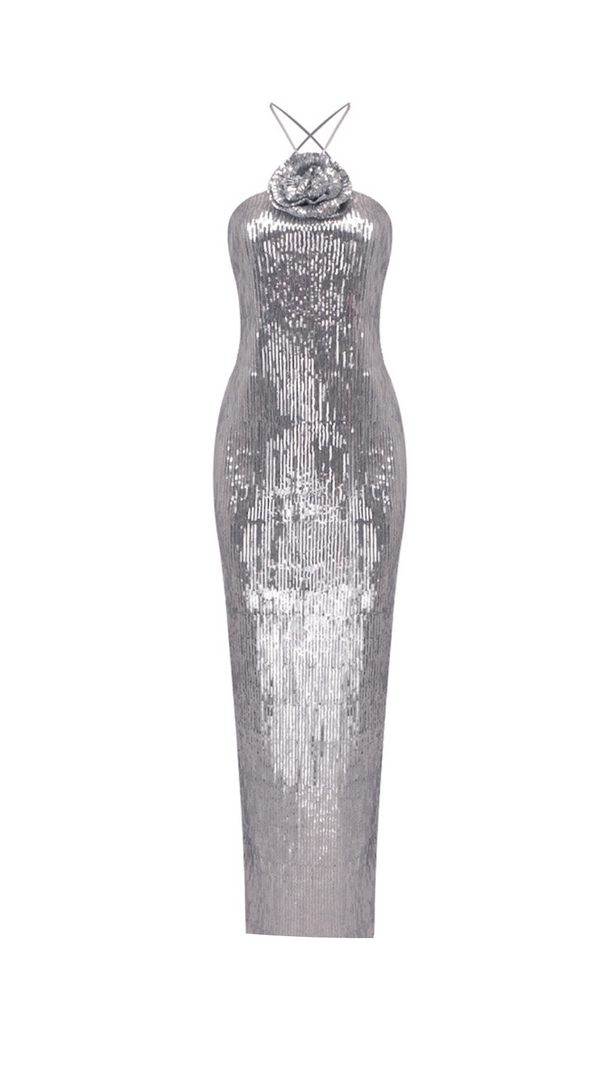 AIIZIE WINIFRED FLORAL-APPLIQUÉ SEQUIN MAXI DRESS SILVER - product image